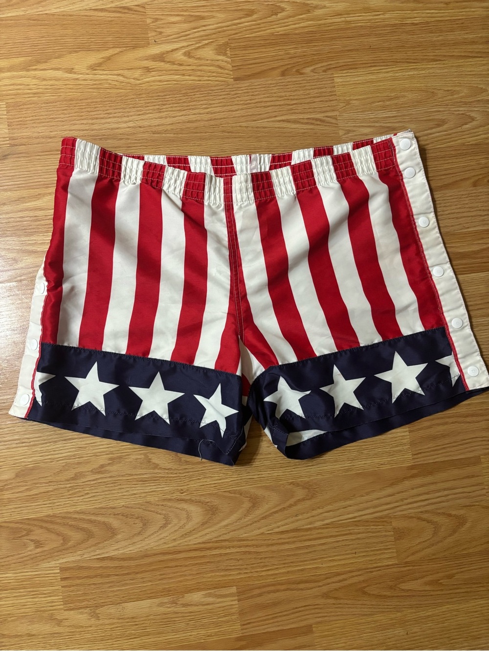 chubbies Red, White & Blue Striped Patriotic Shorts with Star Trim